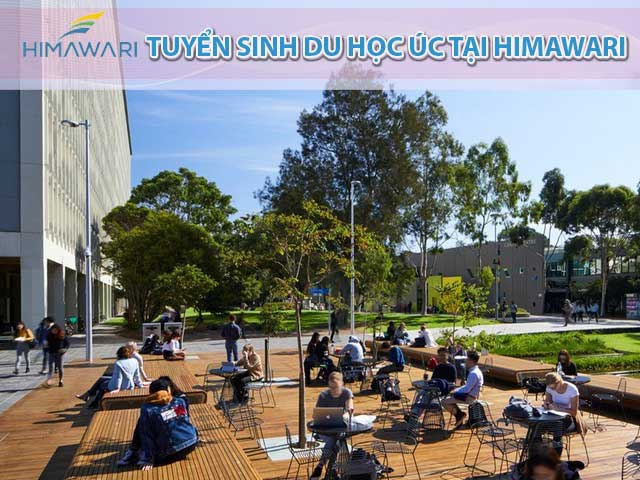 Tuyển sinh du học Úc tại Himawari Group